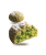 pol_pl_Ciastka-Amaretti-Pistacchio-Falcone-170g-Pistacjowe-17027_4.png