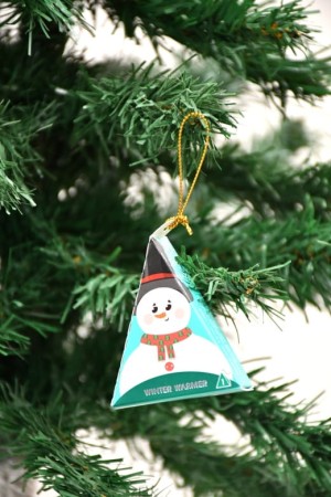 pol_pl_Herbata-English-Tea-Shop-Christmas-Tea-Red-Wonders-zestaw-12-piramidek-26538_2.jpg