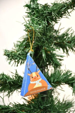 pol_pl_Herbata-English-Tea-Shop-Christmas-Tea-Red-Wonders-zestaw-12-piramidek-26538_6.jpg
