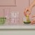 pol_pl_Zestaw-do-matchy-Hario-Matcha-Tea-Gift-Set-Przezroczysty-26666_6.jpg