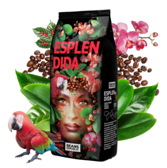 Beans Republic Esplendida Kawa ziarnista 1kg
