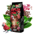 Beans Republic Esplendida Kawa ziarnista 1kg