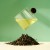 Herbata zielona Lune Tea Jasmine Green 40g