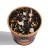 Herbata czarna Brown House&amp;Tea EARL GREAT - czarna herbata z dodatkami 50g